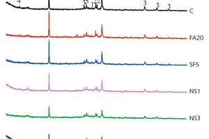  4 X-ray diffraction (XRD) patterns of samples hydrated for 28 days 