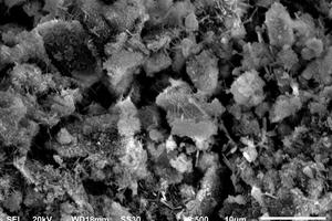 11 SEM results of different samplesa) SPO-1 db) SNS4-1 dc) SNC2-1 dd) SPO-28 de) SNS4-28 df) SNC2-28 d 