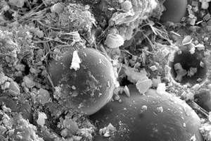  5 SEM images of control and SBR2 samples at 3 d and 28 d(a) Control 3 d (b) SBR2 3 d(c) Control 28 d (d) SBR2 28 d 