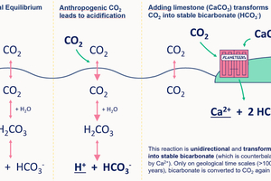  2 Different ways to store carbon in the ocean - natural equilibrium, anthroprogenic CO2 leading to acidification and Planeteers’ approach of creating bicarbonate using CO2 and CaCO3 