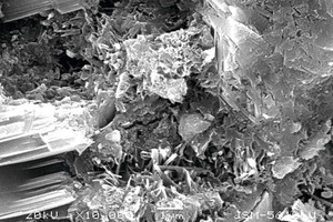  8 SEM spectrum of interfacial transition zone and different ages between thin layer cement paste modified with cellulose ether and aerated concrete⇥3 d⇥7 d⇥28 d 