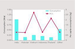  14 Country markets in other Asia 2015  