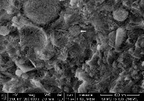  7	NanoSEM (HV: 2 kV), M2-fractured surface at 28 d, water storage: UHPC-matrix with dissolution structures of SF spheres (arrow) 