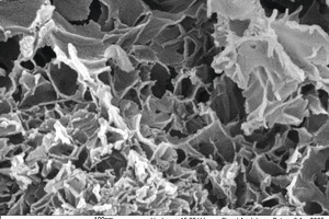  	Kartenhausstruktur in hydratisiertem Zementleim, Foto FEhS-Institut 