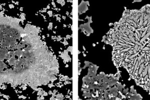  A forming grain of C4A3Sˉ prepared at temperature of 1170 °C (left); EDX analysis state that the inner black part is composed of unreacted Al2O3, while the external part is CaSO4; C4A3Sˉ is formed in the intermediate zone. Right: A large and a small (>10µm) belite in a CSA clinker 