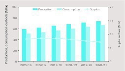  17 Consumption and surplus projection 